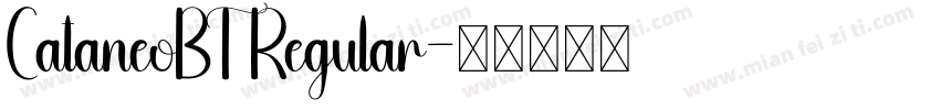 CataneoBT Regular字体转换